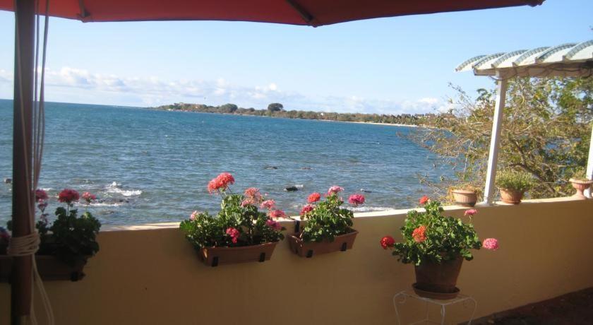 Le Cactus Guesthouse Terre Rouge  Exterior photo